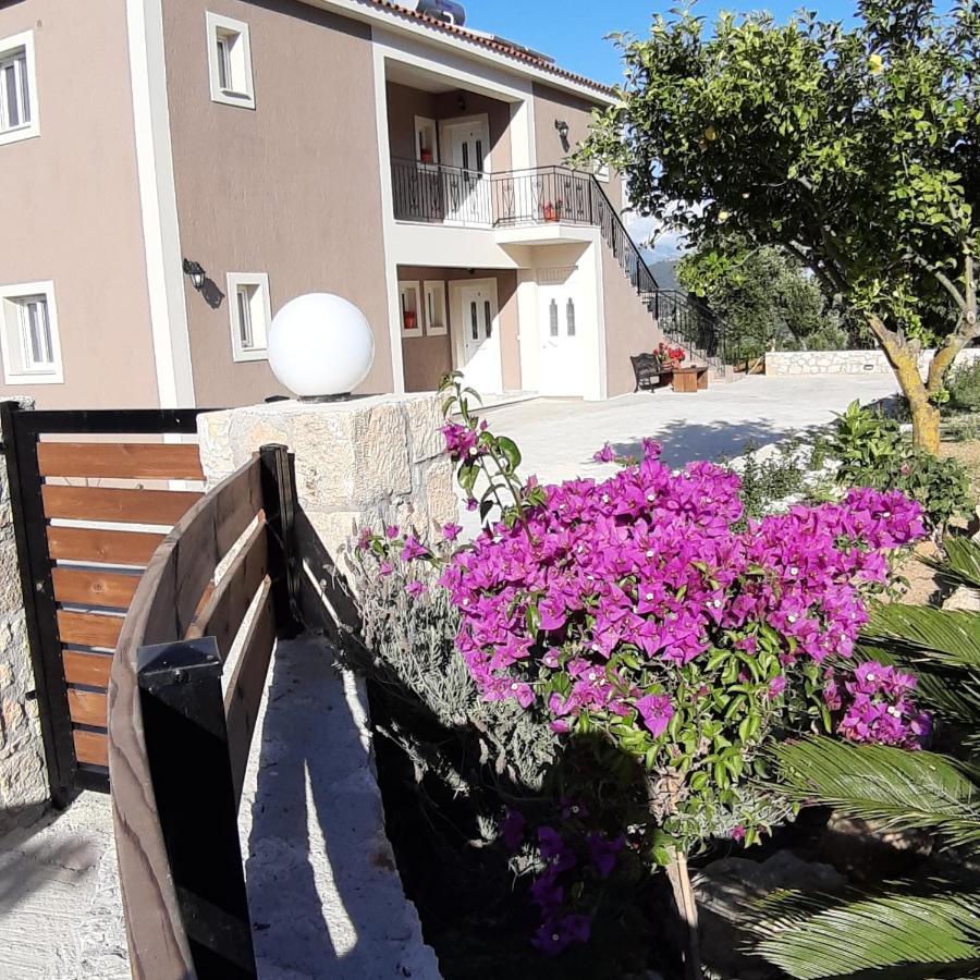 Nikoleta'S Studios Argostoli  Exteriör bild