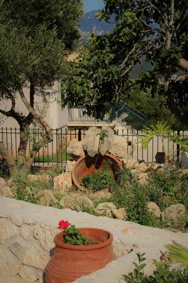 Nikoleta'S Studios Argostoli  Exteriör bild