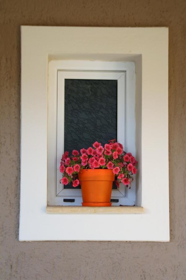 Nikoleta'S Studios Argostoli  Exteriör bild