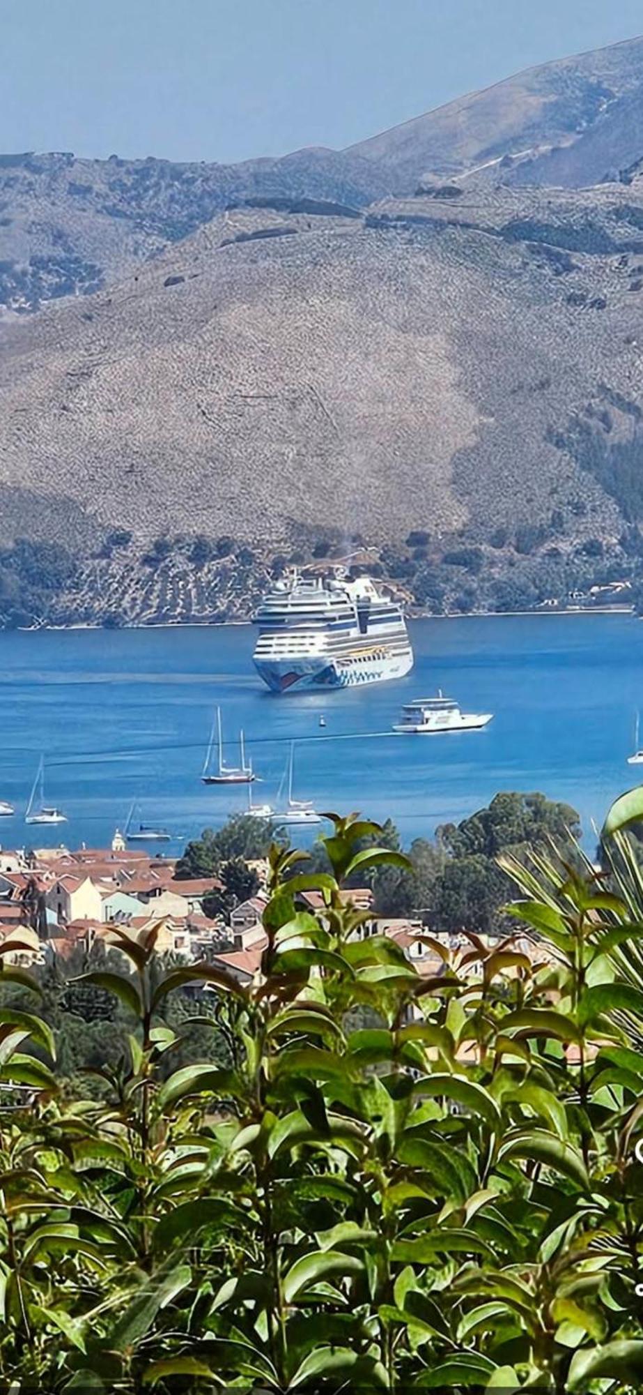Nikoleta'S Studios Argostoli  Exteriör bild